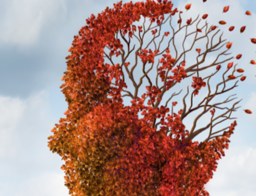 Setting up your brain