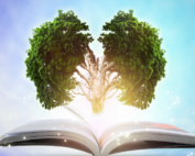 Knowledge and Action