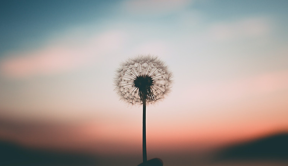 Mind